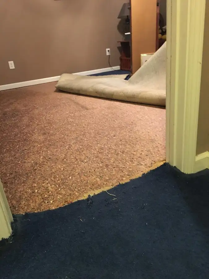 Carpet pad removal revealing water damage during Drying & Dehumidification in Great Barrington